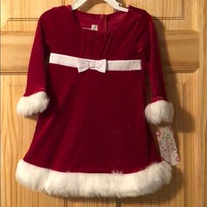 Ashley Ann Red Mrs Claus Dress